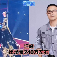 十位明星歌手的出场费