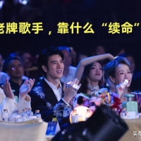 那些老牌歌手，如今靠什么“续命”？