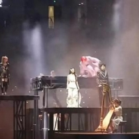 知名男歌手，演唱会突发意外！