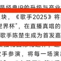 《歌手2025》最终版阵容：7位首发2位补位，2位国际歌手直